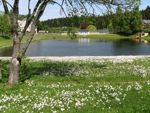 Badeteich Tannenbergsthal