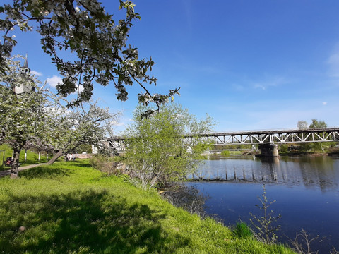 Mulderadweg Zwickauer Mulde