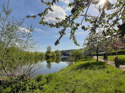 Mulderadweg Zwickauer Mulde