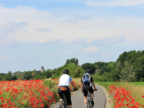 Mulderadweg bei Canitz