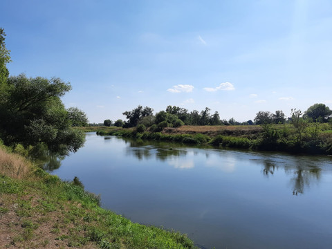 Mulde bei Bad Düben