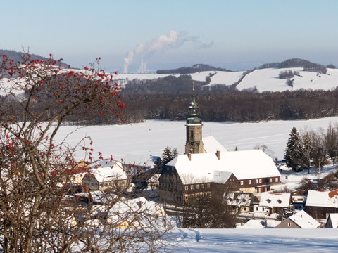 Naturparkhaus und Kirche Erholungsort Waltersdorf im Winter, Vordegrung Hagebuttenstrauch