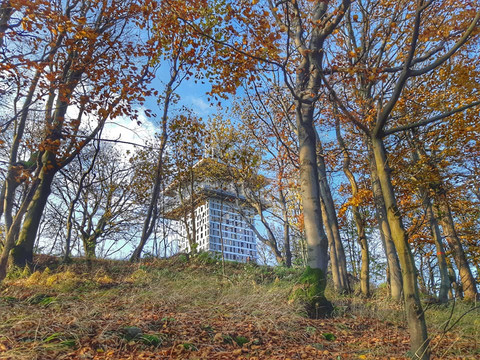 Blick zum Gipfel der Lausche
