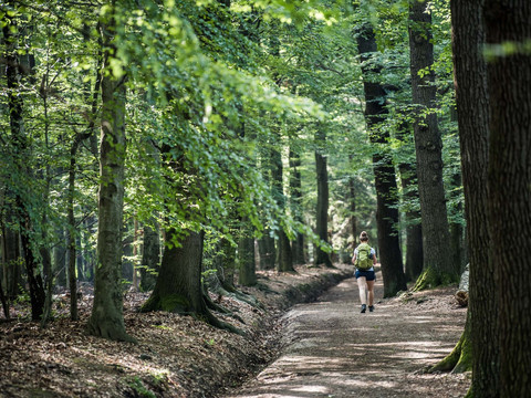 Auf dem Weg zur Bastei