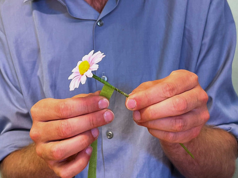 Selber blümeln bei der Deutschen Kunstblume Sebnitz