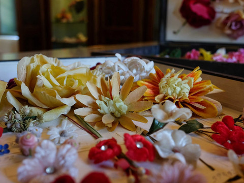 Blüten bei der Deutschen Kunstblume Sebnitz