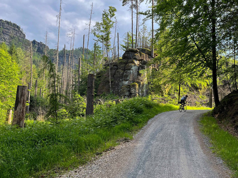 Nationalparkroute Hintere Sächsische Schweiz