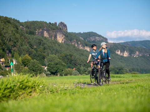 Elberadweg in Krippen