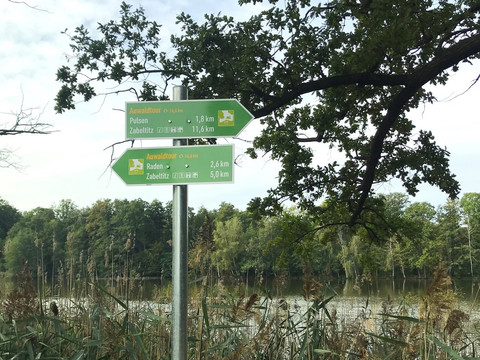 Auwaldtour Wegweiser