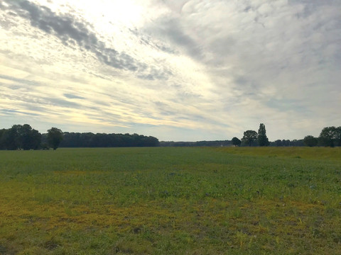 Auenlandschaft zwischen Frauenhain und Raden