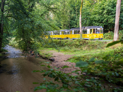 Kirnitzschtalbahn