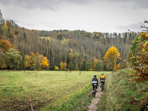 Im Sebnitztal in der Sächsischen Schweiz