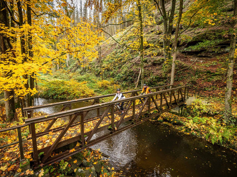 Brücke über die Sebnitz
