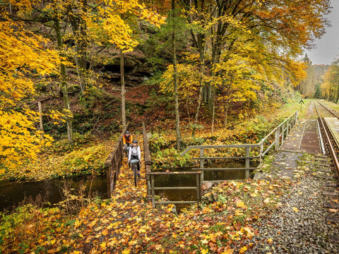 Im Schwarz- und Sebnitztal