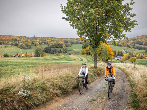 Anstieg am Schönbacher Berg