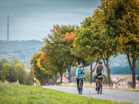 Weiter geht's - im Hintergrund der Löbauer Berg