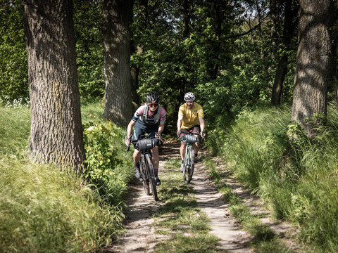 Anstieg auf dem RockHead kurz vor Dorf Wehlen