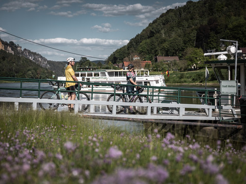 Fähre an der Elbe in Stadt Wehlen