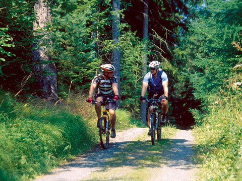 Radfahrer im Wald