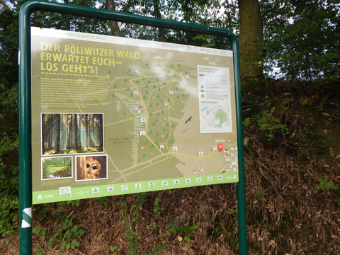Naturlehrpfad Pöllwitzer Wald