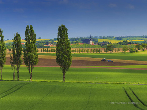 Huegellandschaft in der Lommatzscher Pflege