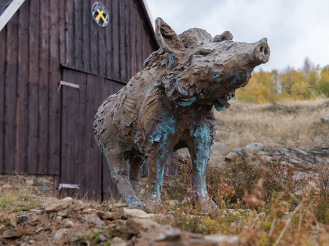 Wildschwein von Carl Emanuel Wolff