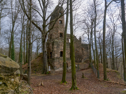Burgruine Liebau