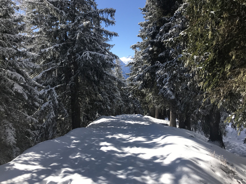Winterwanderung von der Riederalp via Oberried nach Ried-Mörel