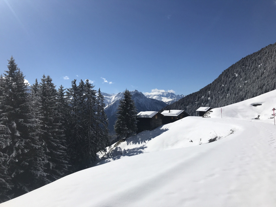 Winterwanderung von der Riederalp via Oberried nach Ried-Mörel