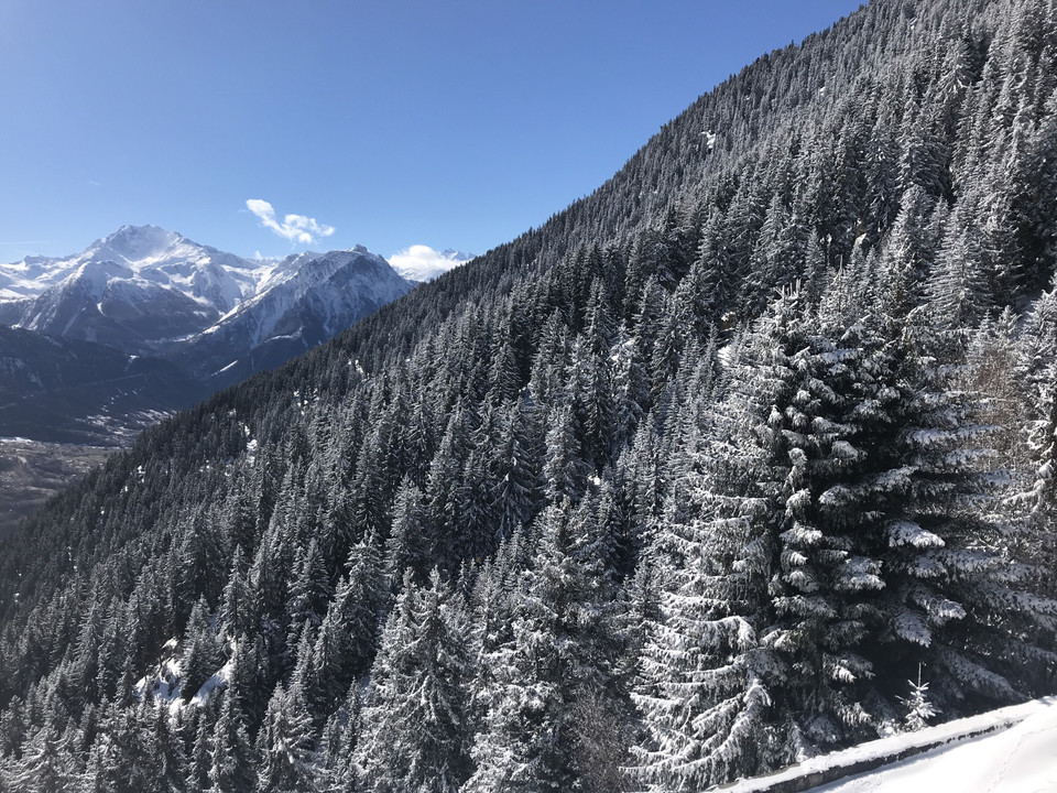 Winterwanderung von der Riederalp via Oberried nach Ried-Mörel