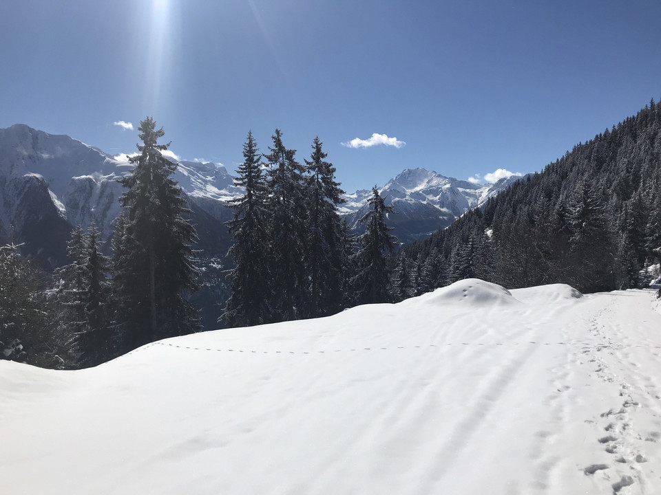 Winterwanderung von der Riederalp via Oberried nach Ried-Mörel