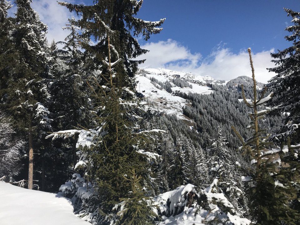 Winterwanderung von der Riederalp via Oberried nach Ried-Mörel