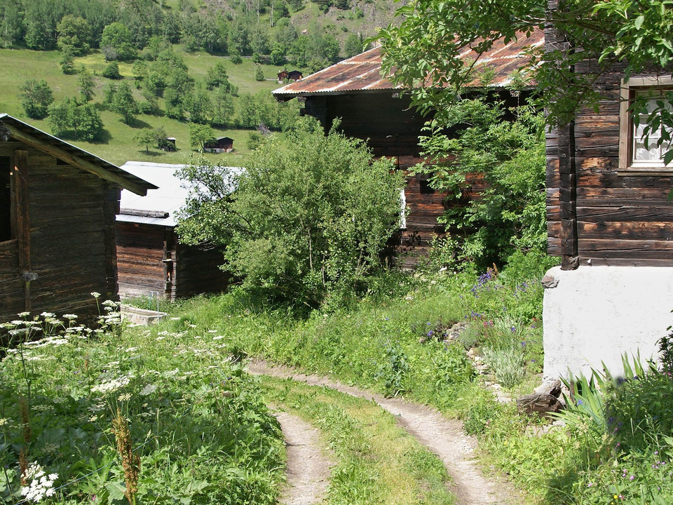 Wanderung von Fiesch via Lax über Hockmatta und Twingischlucht nach Binn