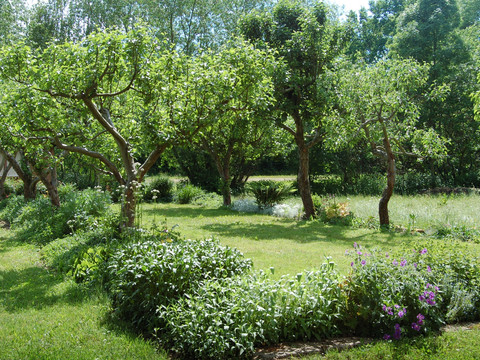 Klostergarten in Frankenhausen