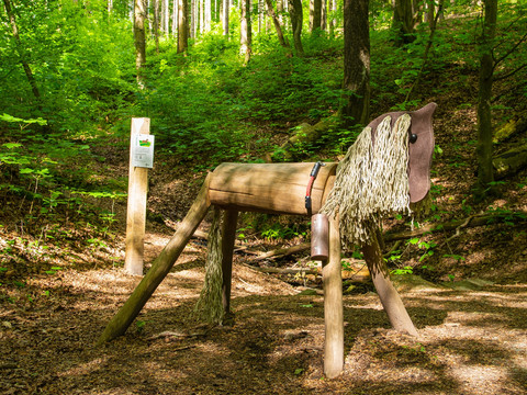 Pferd Grafenschatzweg