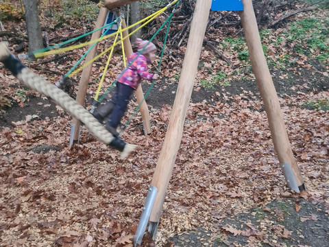 Schaukel am Grafenschatzweg