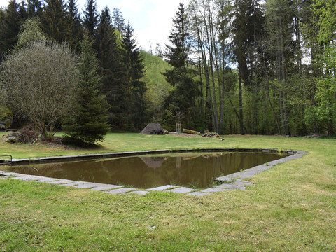 Breyer im Mai - Waldbad in Ruderitz (Burgsteingebiet)