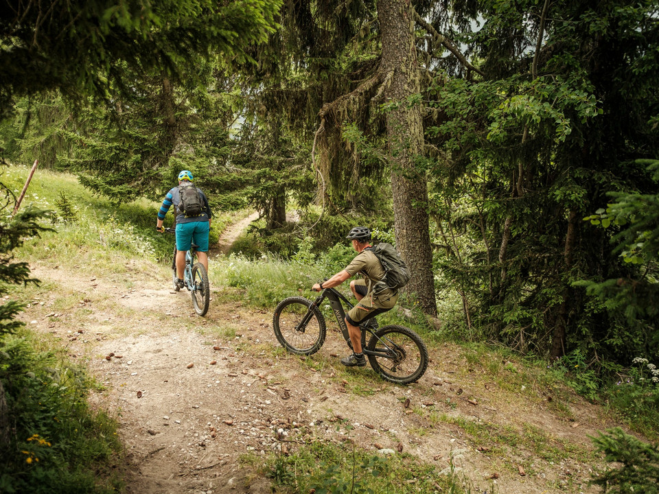 E-Mountainbike - Biketrail Bettmer Loop in der Aletsch Arena