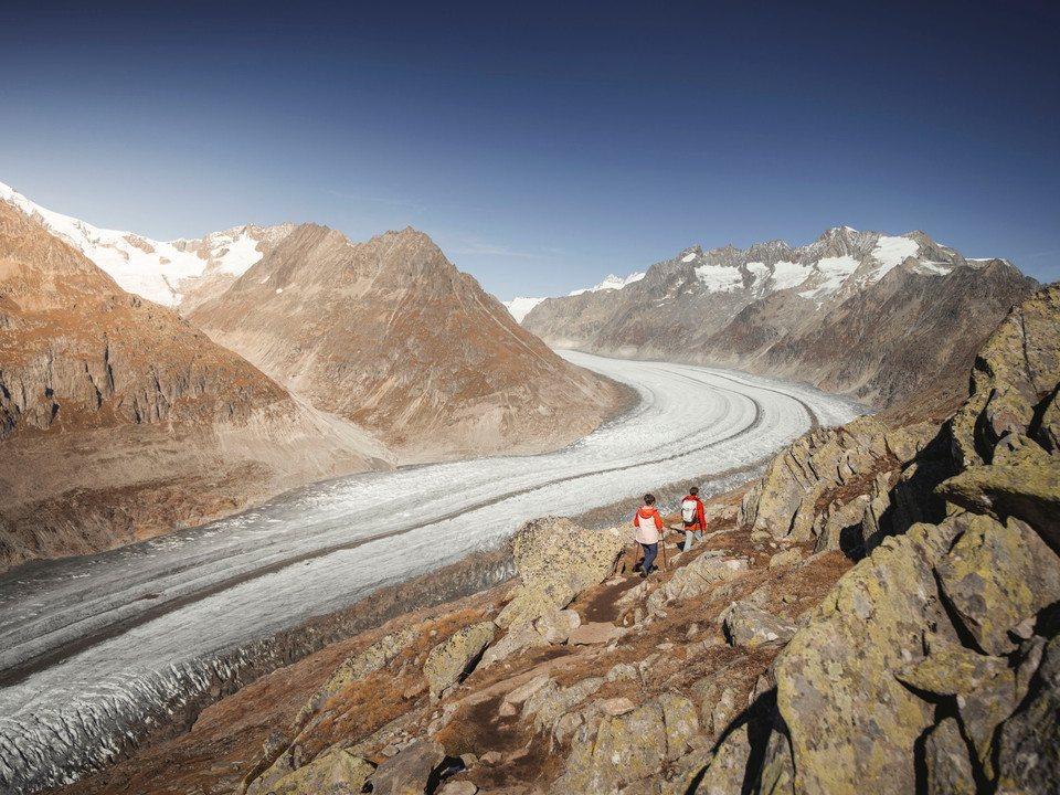 Herbstwanderung am Grossen Aletschgletscher