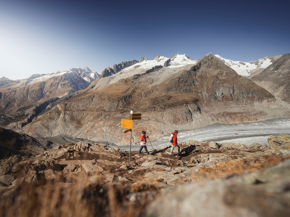 Herbstwanderung am Grossen Aletschgletscher