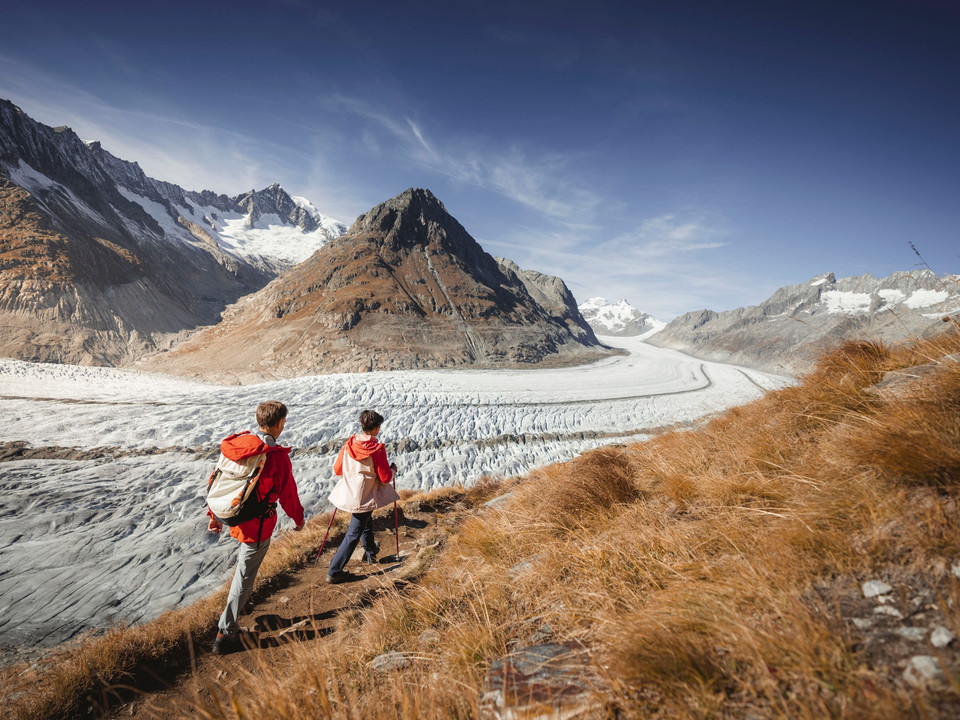 Herbstwanderung am Grossen Aletschgletscher