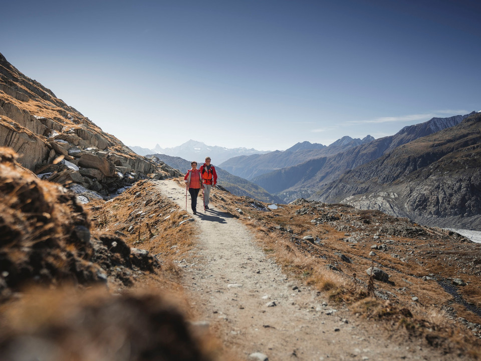 Herbstwanderung am Grossen Aletschgletscher