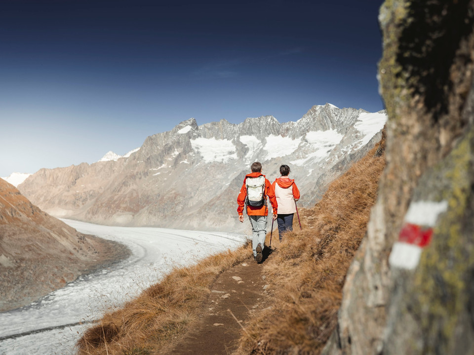 Herbstwanderung am Grossen Aletschgletscher