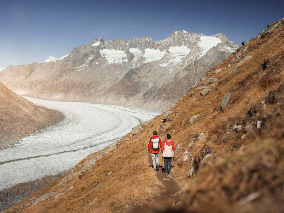 Herbstwanderung am Grossen Aletschgletscher