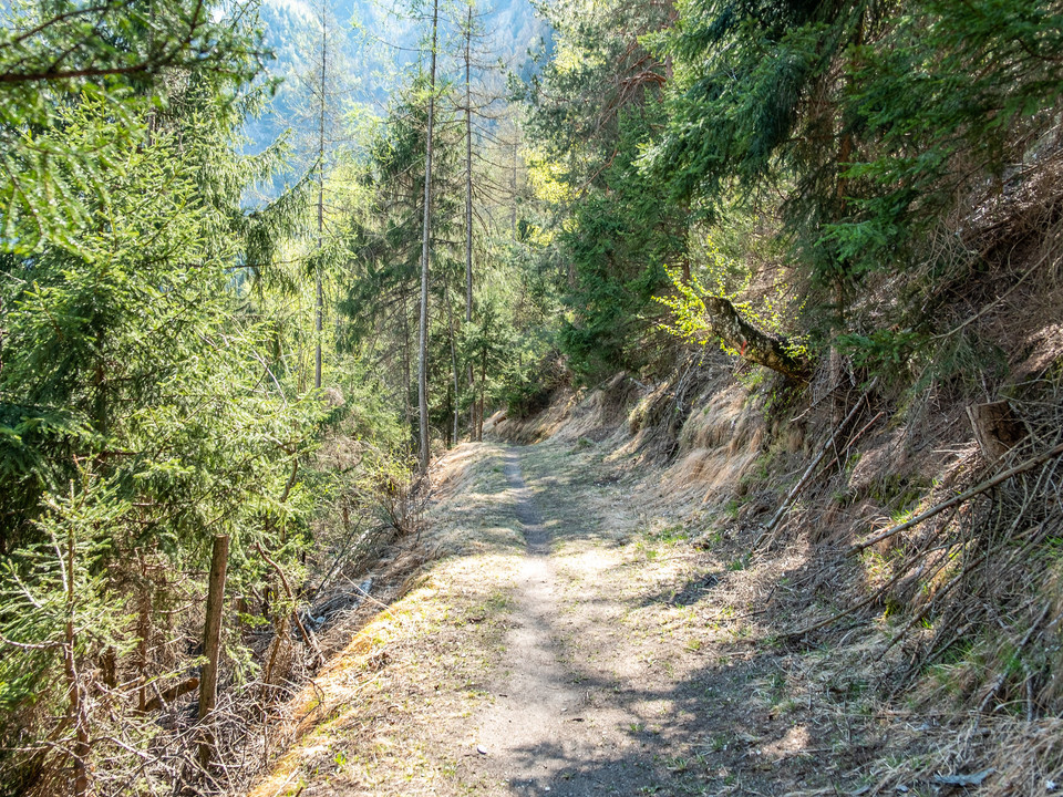 Wanderweg Richtung Tunetschgraben