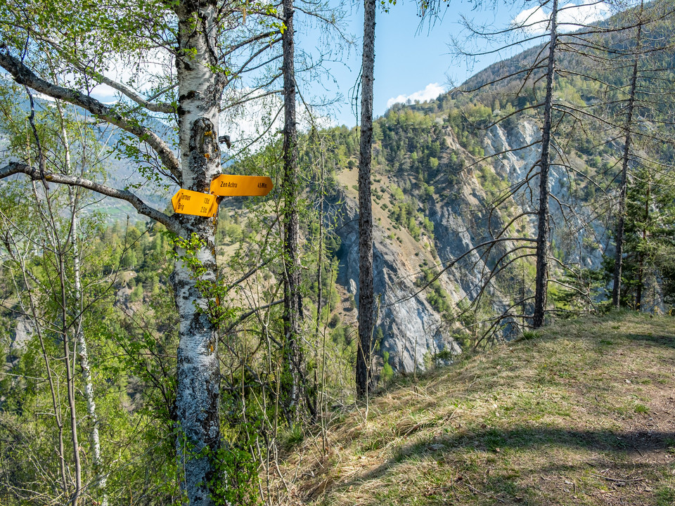 Wanderweg Richtung Tunetschgraben
