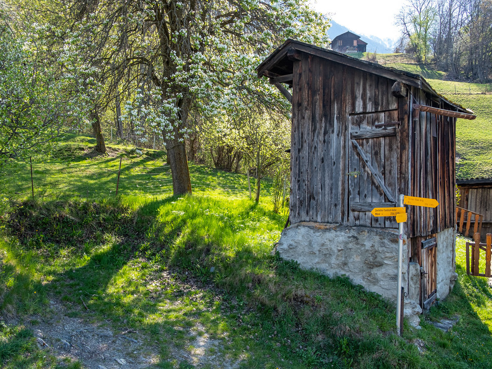 Wanderweg Richtung Tunetschgraben Abzweigung in Termen