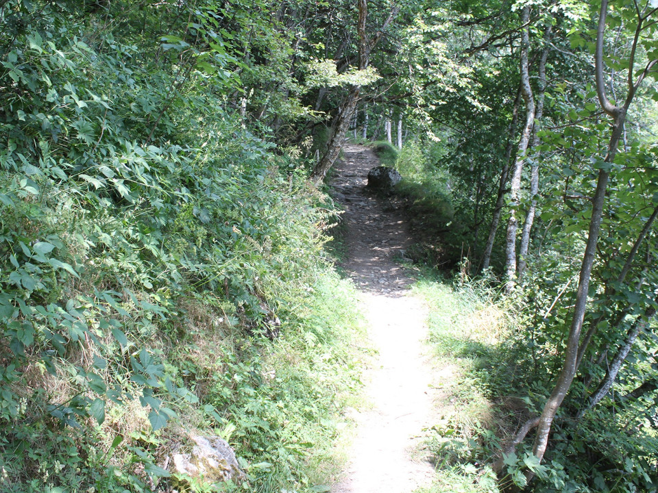 Themenweg Sauriertrail Fieschertal - Feuerstelle Brüchergand - Fieschertal