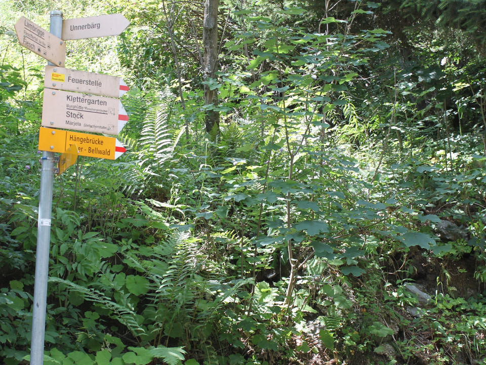 Themenweg Sauriertrail Fieschertal - Feuerstelle Brüchergand - Fieschertal