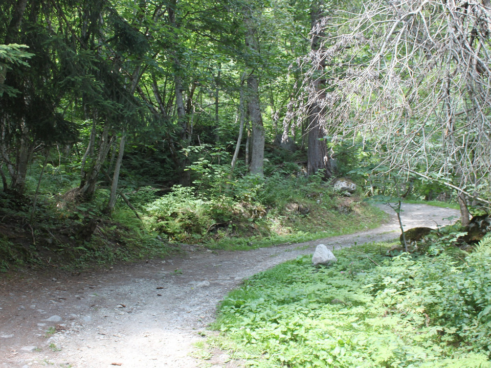 Themenweg Sauriertrail Fieschertal - Feuerstelle Brüchergand - Fieschertal